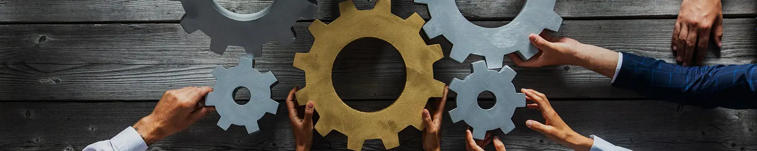 Banner image